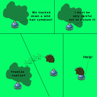 03550.gif